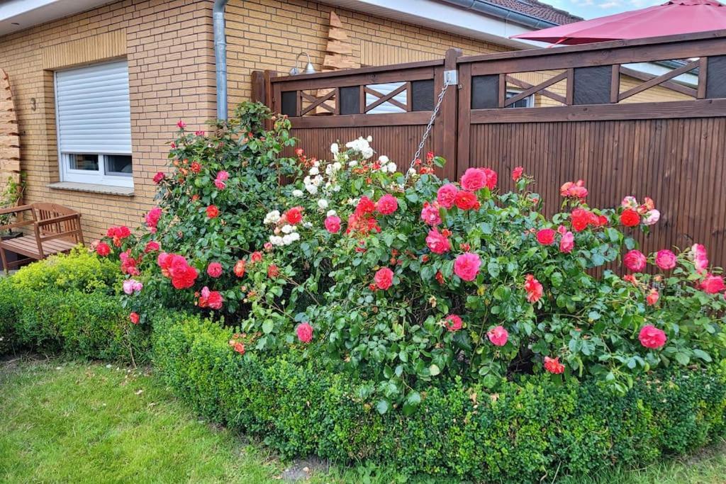 Fh Ostfriesland To Huus, Zw. Emden Und Greetsiel Villa Hinte Ngoại thất bức ảnh